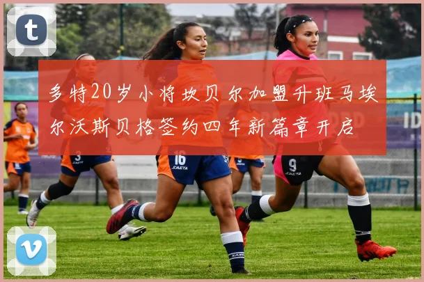 多特20岁小将坎贝尔加盟升班马埃尔沃斯贝格签约四年新篇章开启