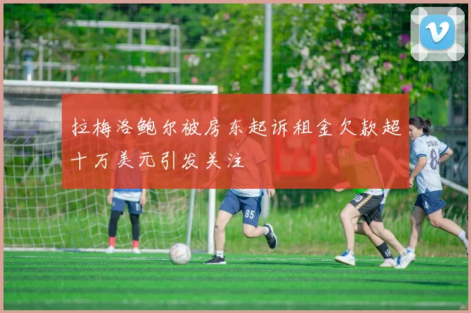 拉梅洛鲍尔被房东起诉租金欠款超十万美元引发关注