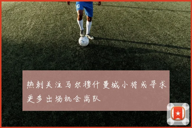 热刺关注马尔穆什曼城小将或寻求更多出场机会离队