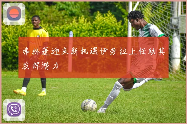 弗林蓬迎来新机遇伊劳拉上任助其发挥潜力